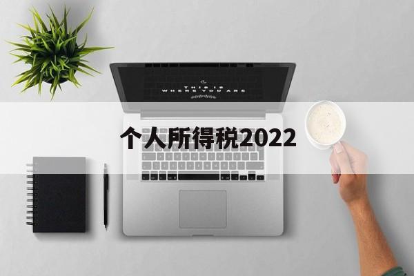 个人所得税2022(个人所得税2022年专项附加扣除标准)