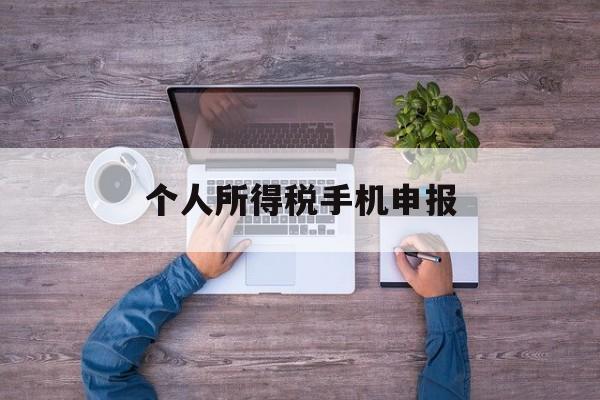 个人所得税手机申报(个人所得税手机申报操作流程图)